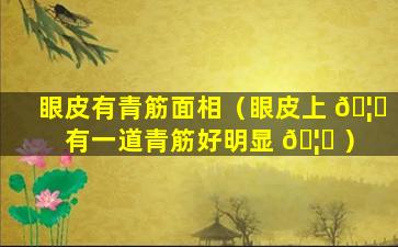 眼皮有青筋面相（眼皮上 🦅 有一道青筋好明显 🦊 ）